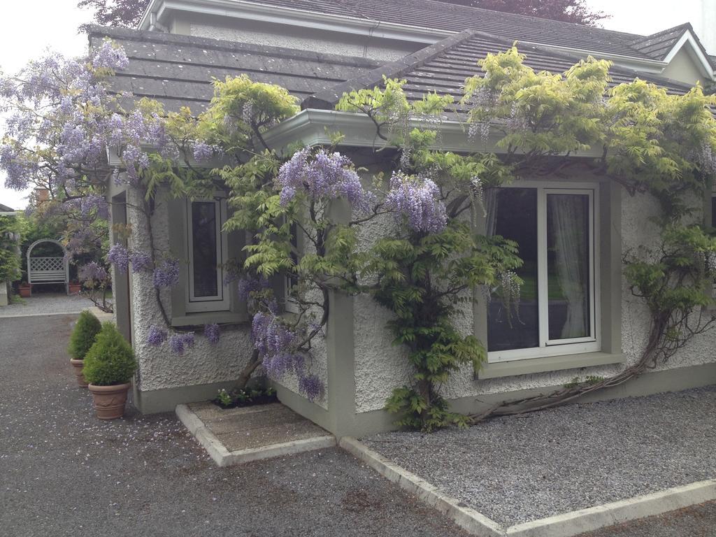 Sea Dew B&B Tullamore Ngoại thất bức ảnh