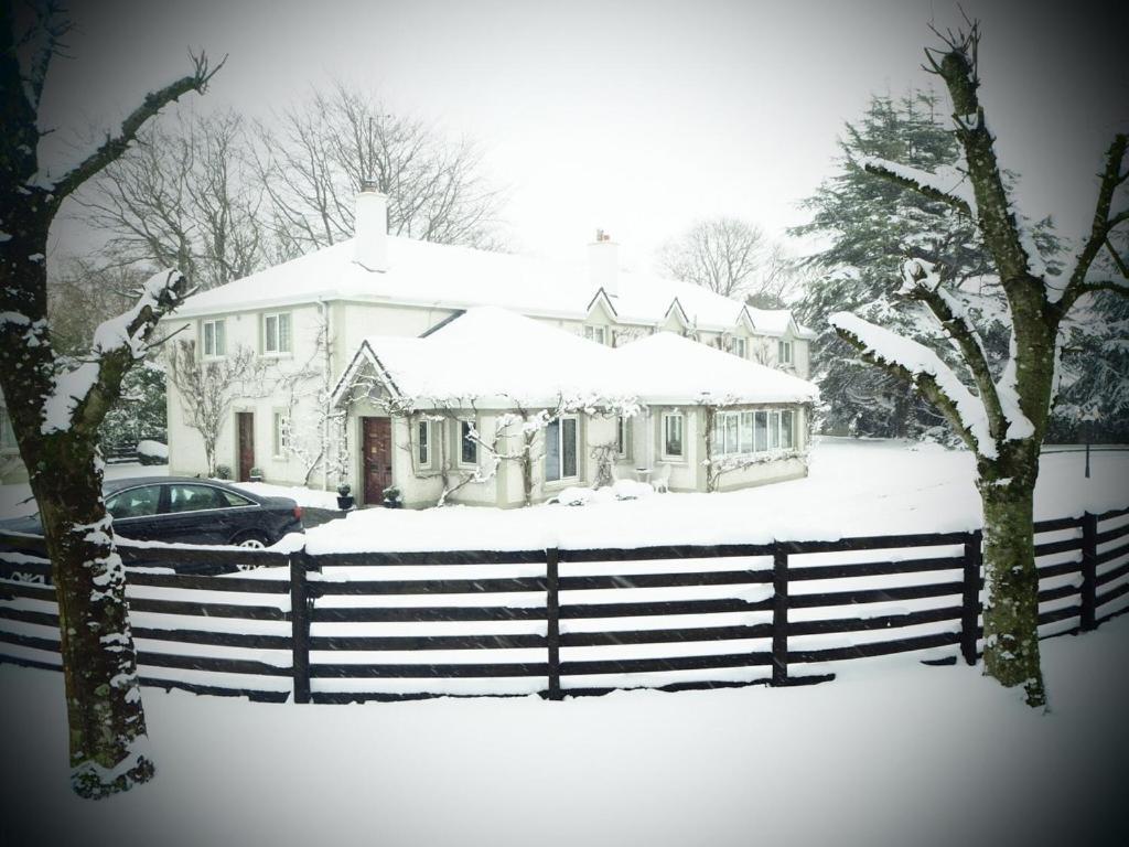Sea Dew B&B Tullamore Ngoại thất bức ảnh